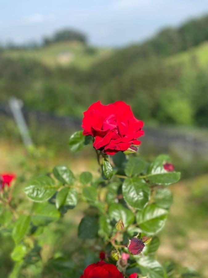 Trautenburg Stub'N 루트스카치 외부 사진